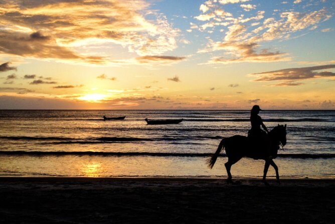 Cartagena: Horseback Riding at the Beach During Day or Sunset - Where La Boquilla Becomes the Main Character