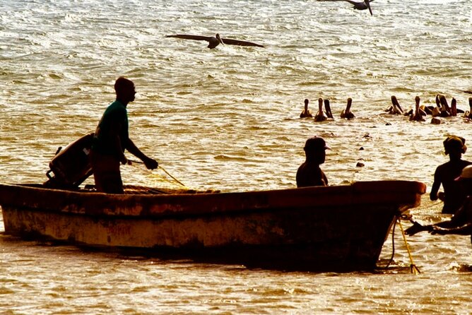 Cartagena: Horseback Riding at the Beach During Day or Sunset - Horses, Safety, and Beginner Instructions (Yes, You Can Do This)