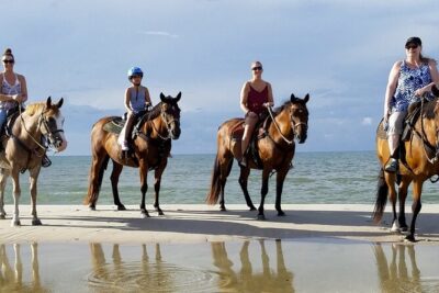 Cartagena: Horseback Riding at the Beach During Day or Sunset - The 1h15 Ride: What You Do, What You See, and How It Feels