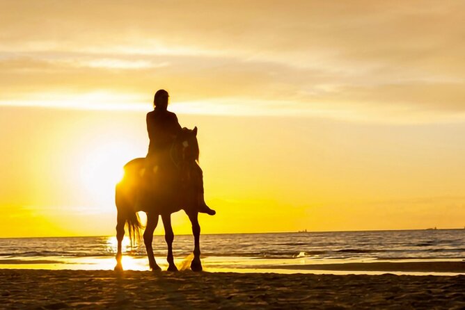 Cartagena: Horseback Riding at the Beach During Day or Sunset - The Finish at a Local Restaurant With Sea Views