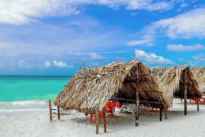 Cartagena: Horseback Riding at the Beach During Day or Sunset - Who This Tour Fits Best (and Who Should Think Twice)