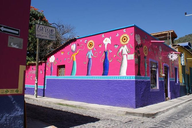 Chapala Lake & Ajijic Tour with "Tres Potrillos Ranch" - Transport tips that make the day better
