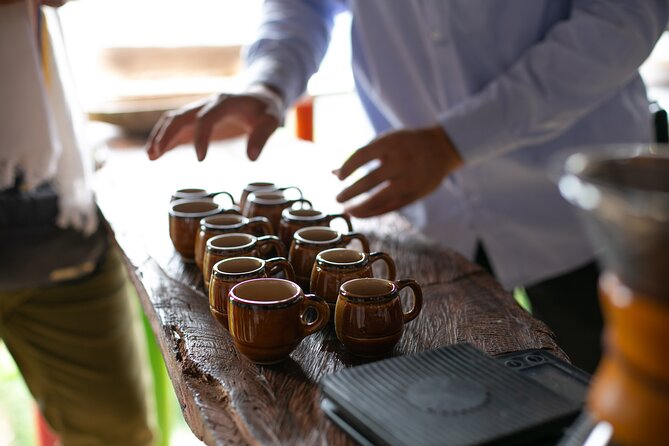 Coffee Tour with arrival on horseback and sugar cane processing - The Sugar Cane Side of the Tour: The Sweet Companion to Coffee