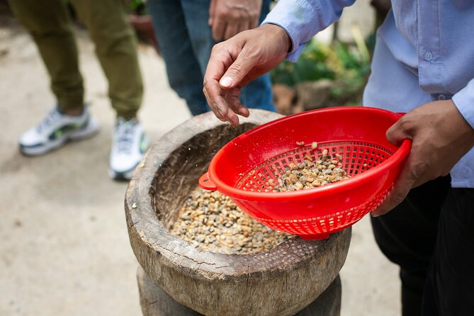 Coffee Tour with arrival on horseback and sugar cane processing - Coffee Tasting and Brewing Methods: Learning by Taste, Not Just Theory