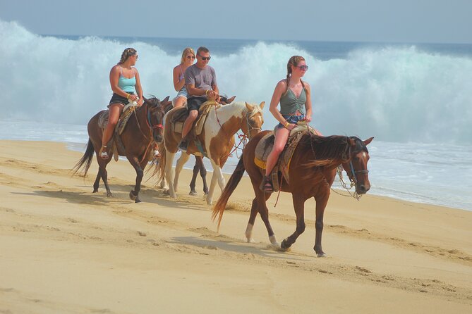 Combined ATV and Horseback Ride/Tequila Tasting - The tequila tasting: why it’s not just a throw-in