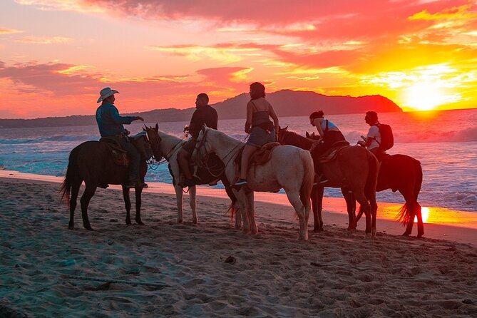 Combo Horseback Beach Ride & ATV Adventure. Tequila Tasting - Tequila Tasting: How to Confirm What You’re Getting