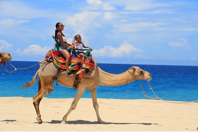 Combo Horseback Ride and Sky Bike in Cabo - The ecological hike with bilingual guides: what you gain