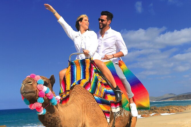 Combo Horseback Ride and Sky Bike in Cabo - Tequila tasting, kids club, and family-friendly pacing