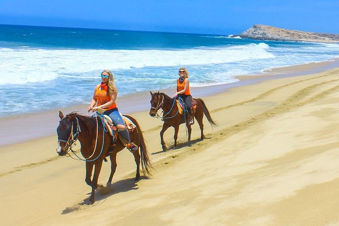 COMBO Horseback Riding & UTV Tour - G-Force Adventures: the 2-hour flow from pickup to finished riding