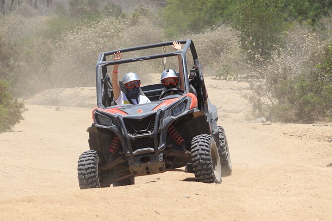 COMBO Horseback Riding & UTV Tour - Is it worth $125: value check for couples and families