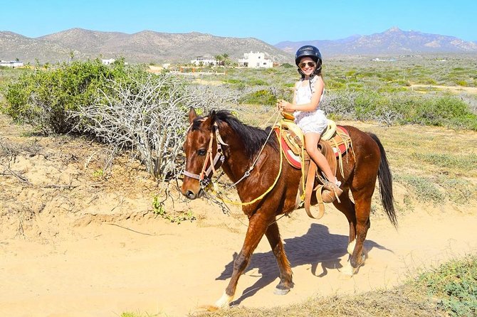 COMBO Horseback Riding & UTV Tour - Should you book this Cabo horseback riding and UTV combo?
