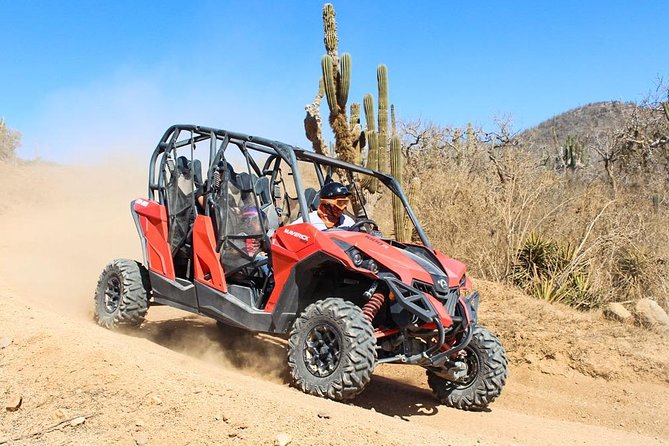 COMBO Horseback Riding & UTV Tour - UTV and horse guidance: what the guide does for you (and why it matters)