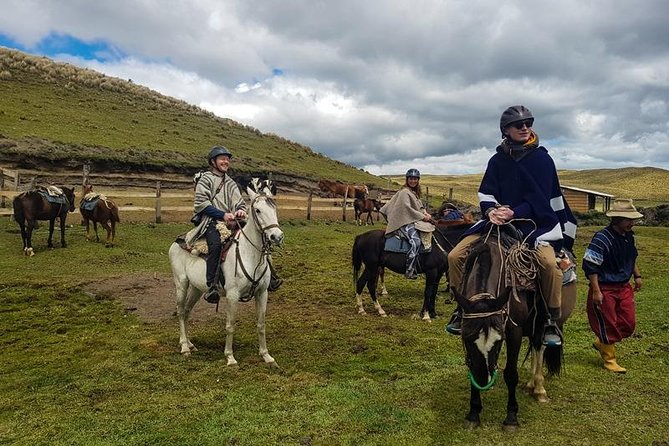 Cotopaxi Horseback Riding Tour from Quito – Andes Adventure - Park entrance prep: tickets, instructions, and safety gear