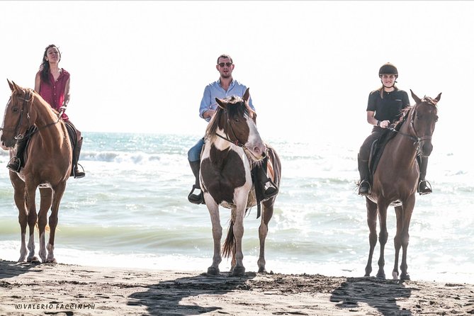 Daily out of Rome : Horseback ride with meals & wine included - The trail ride: Simbruini National Park, wildlife chances, and real mountain quiet