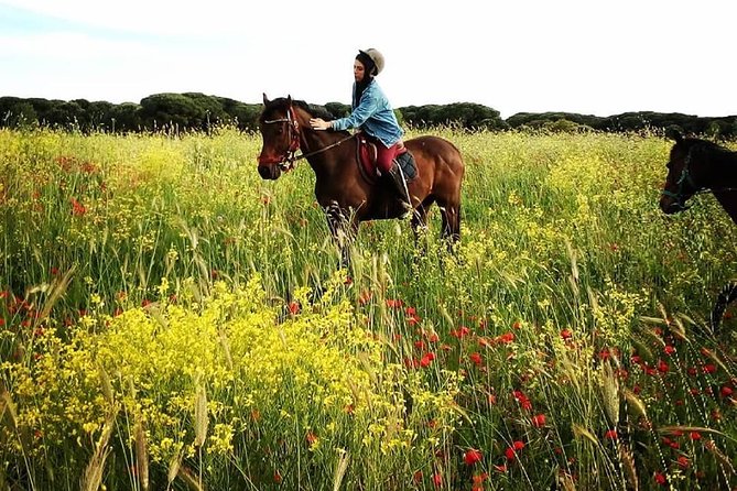 Daily out of Rome : Horseback ride with meals & wine included - Lunch break: fuel for riding without losing the mood