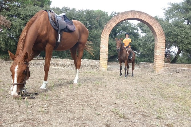 Daily out of Rome : Horseback ride with meals & wine included - Wine tasting in a village square: the perfect landing after horses