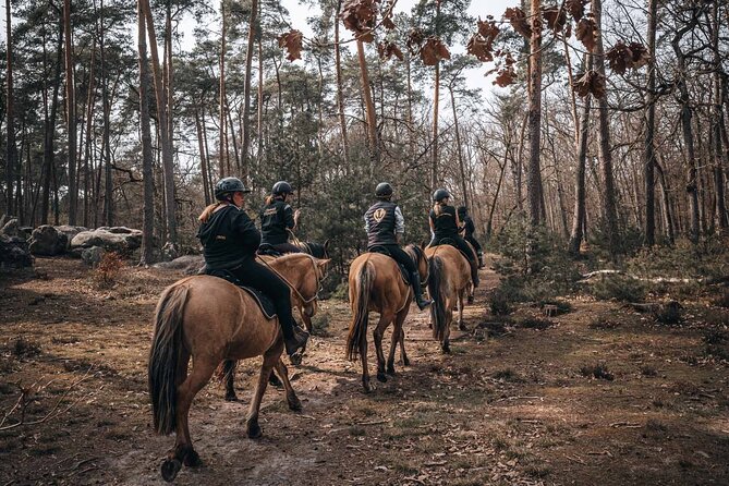 Day Trip to Fontainebleau : Horse Riding, Gastronomy and Castle - Gastronomy Lunch and Wine: Why the Food Plan Is Part of the Value