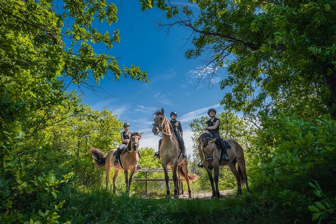Day Trip to Fontainebleau : Horse Riding, Gastronomy and Castle - Morning Start: Fresh Fruit, Pastries, and a Planned First Hour