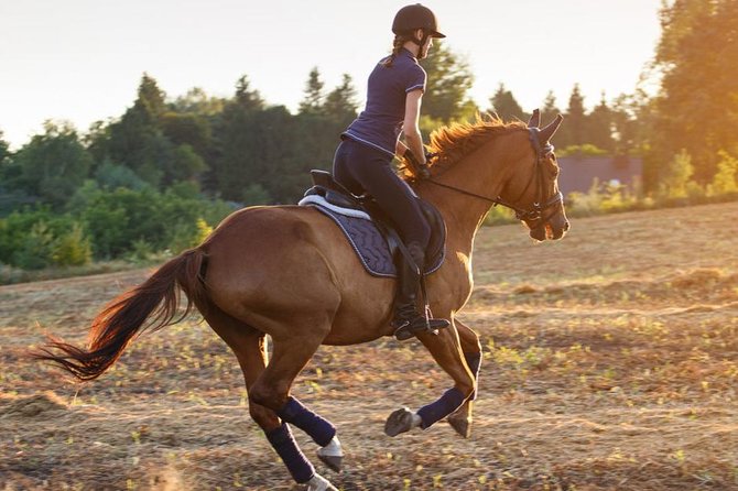 Desert Horse Riding- 1 Hour - Key Things That Make This Ride Worth Your Time