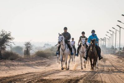 Desert Horse Riding- 1 Hour - Before You Mount: Safety Briefing and Horse Matching That Actually Matters