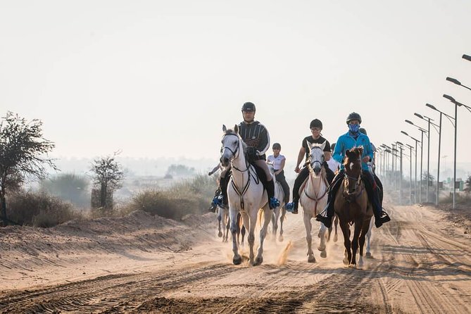 Desert Horse Riding- 1 Hour - Before You Mount: Safety Briefing and Horse Matching That Actually Matters
