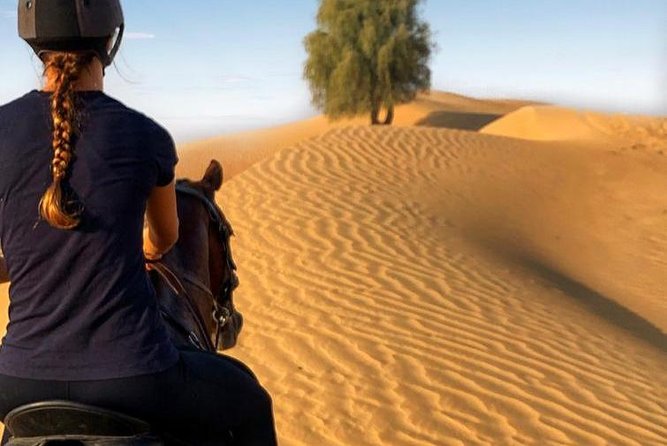Desert Horse Riding Experience in Dubai - Entering the Dubai Desert the Horse-Riding Way