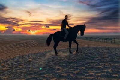 Desert Horse Riding Experience in Dubai - Sahara Stables and the Reality of Getting There