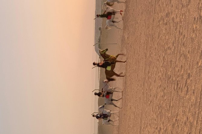 Desert Horse Riding Experience in Dubai - Arab Horses: Why This Matters for Comfort and Control