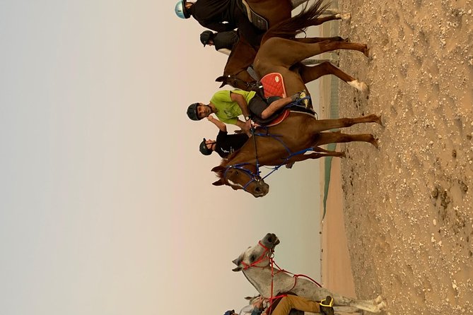 Desert Horse Riding Experience in Dubai - Safety Gear and Instruction: The Part You’ll Be Glad You Got