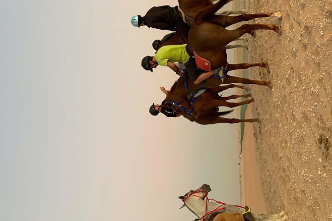 Desert Horse Riding Experience in Dubai - Best Time to Ride: Sunset Hopes vs. Real Scheduling