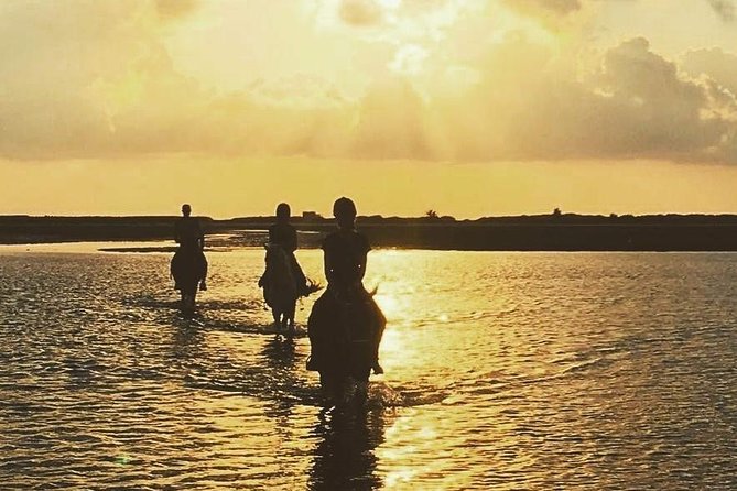 Discovery ride on horseback or camel 2h30 - Ranch Adada Djerba: where your ride really starts