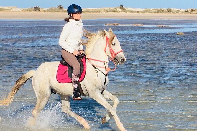 Discovery ride on horseback or camel 2h30 - Lagoon crossing: the moment that changes the whole ride