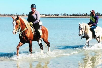 Discovery ride on horseback or camel 2h30 - The first stretch on dirt roads: slow start, then the view pays you back