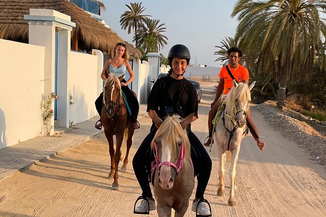 Discovery ride on horseback or camel 2h30 - Horses vs. camel: what you can expect from the experience format