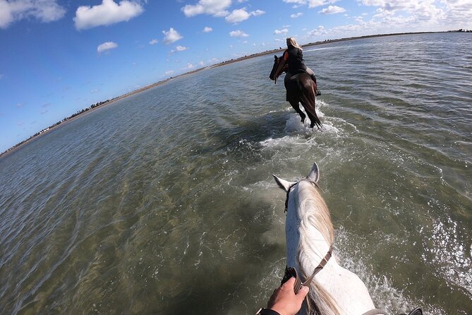 Discovery ride on horseback or camel 2h30 - Animal care and guide professionalism: the part I’d check first
