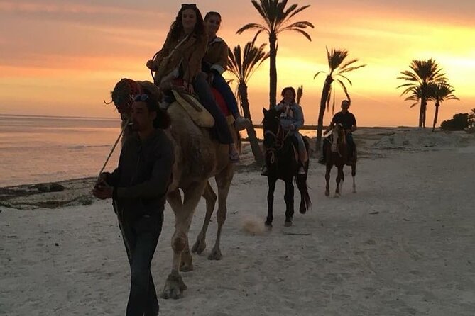 Discovery ride on horseback or camel 2h30 - Pickup, getting there, and the one logistics wrinkle to watch