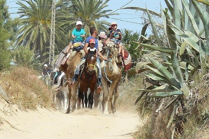 Discovery ride on horseback or camel 2h30 - Duration and pacing: what 2h30 feels like on the ground