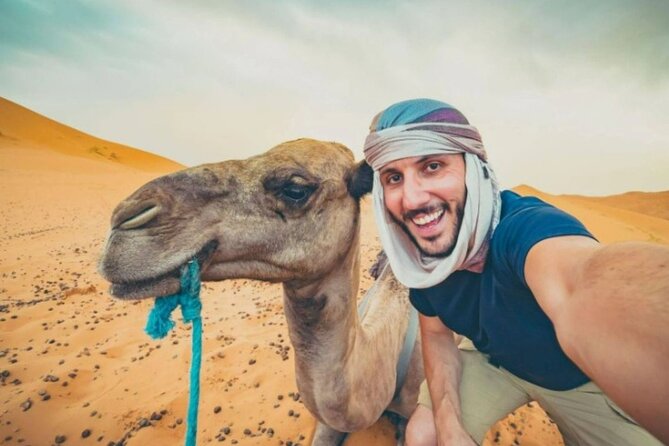 Doha Desert Safari Horse Riding, Camel Ride, ATVs & Inland Sea - Stop 1 in Doha: The Quick Setup That Keeps Everything Easy