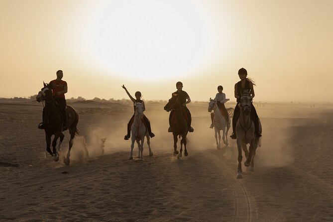 Dubai Desert Horseback Safari with Photoshoot - Key Highlights You’ll Care About