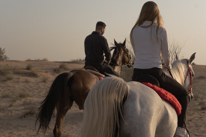Dubai Desert Horseback Safari with Photoshoot - Photoshoot On the Ride: How to Get Real Desert Photos (Not Just Blurry Ones)