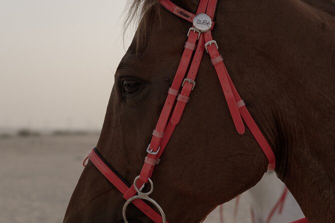 Dubai Desert Horseback Safari with Photoshoot - Price and Value: Is $150 for One Hour a Good Deal?