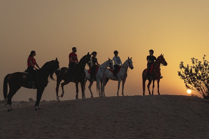 Dubai Desert Horseback Safari with Photoshoot - JSR Equestrian Club Meet-Up: Smooth Setup, Real Horse Time
