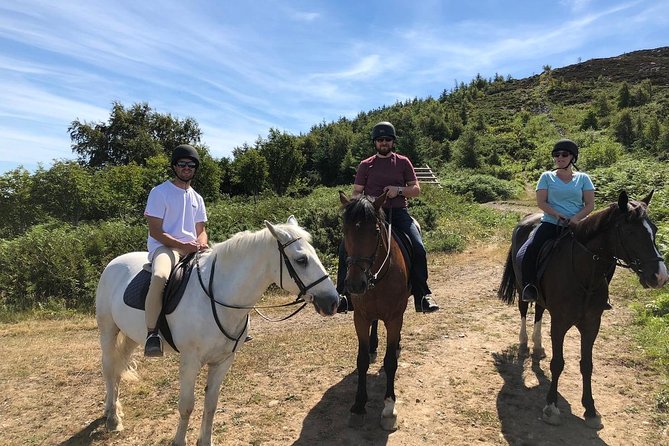Dublin to Wicklow, Glendalough Small Group Tour with Horse Riding - Why this Wicklow day trip feels different than a standard bus tour