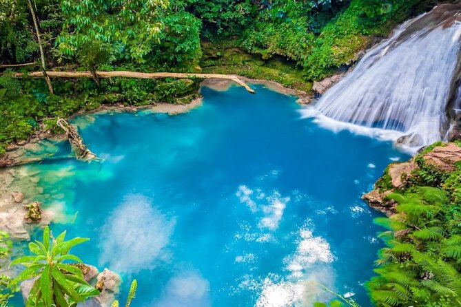 Dunn's River Falls, Blue Hole, Bamboo Rafting, Horseback Combo - Jamaica’s Ocho Rios Combo Day: Water, Food, and Animal Time