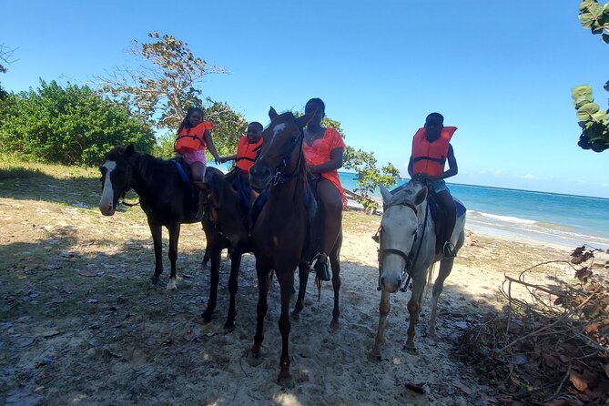 Dunn's River Falls Climb, Zipline and Horseback Riding Private Tour - Dunn’s River Falls: the climb, the steps, and how to do it right