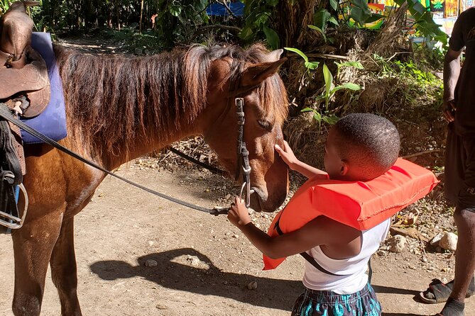 Dunn's River Falls Climb, Zipline and Horseback Riding Private Tour - The value math: why the price feels fair here