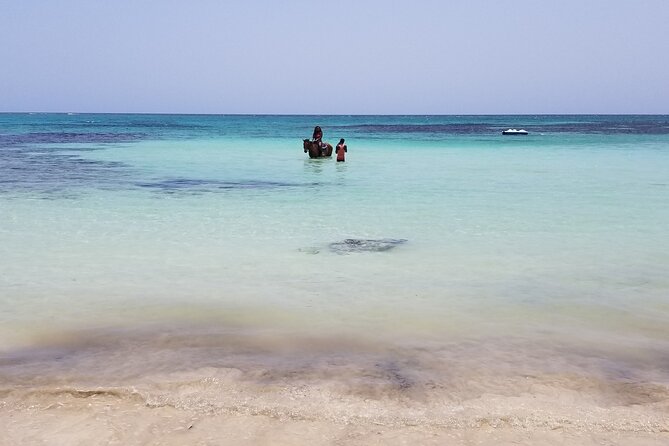 Dunn's River Falls, River Tubing, and Horseback Riding With Transportation - Why the Private Driver Makes This Day Feel Less Stressful