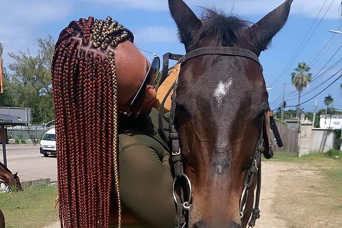 Dunn’s River Falls,Zip lining & horseback riding Combo tour from Montego Bay - Who this private Dunn’s River combo fits best