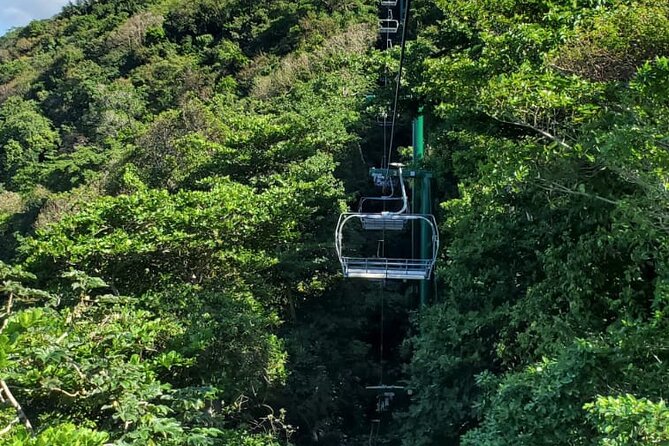 Dunn’s River Falls,Zip lining & horseback riding Combo tour from Montego Bay - Should you book Dunn’s River Falls + zipline + horseback from Montego Bay?