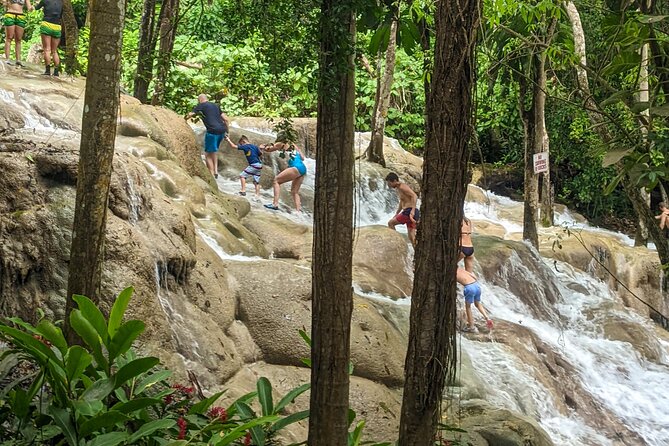 Dunns River Falls, Rafting, Zipline & Horseback from Montego Bay - White River bamboo rafting: soothing water, but check your expectations